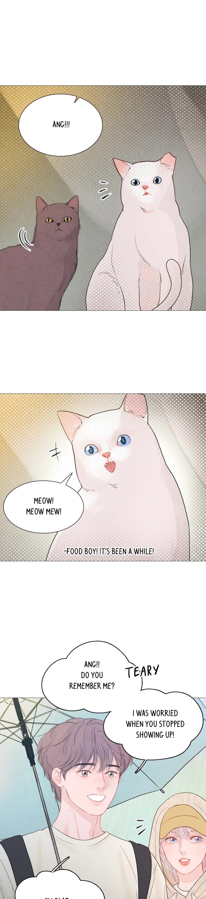 Read Mystical (en) Manga Online