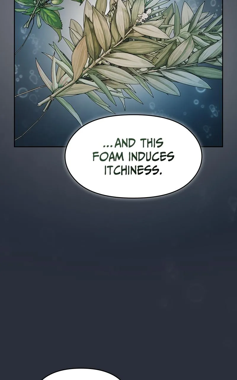 Read Nebula's Civilization (en) Manga Online