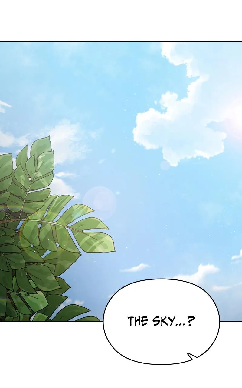 Read Nebula's Civilization (en) Manga Online