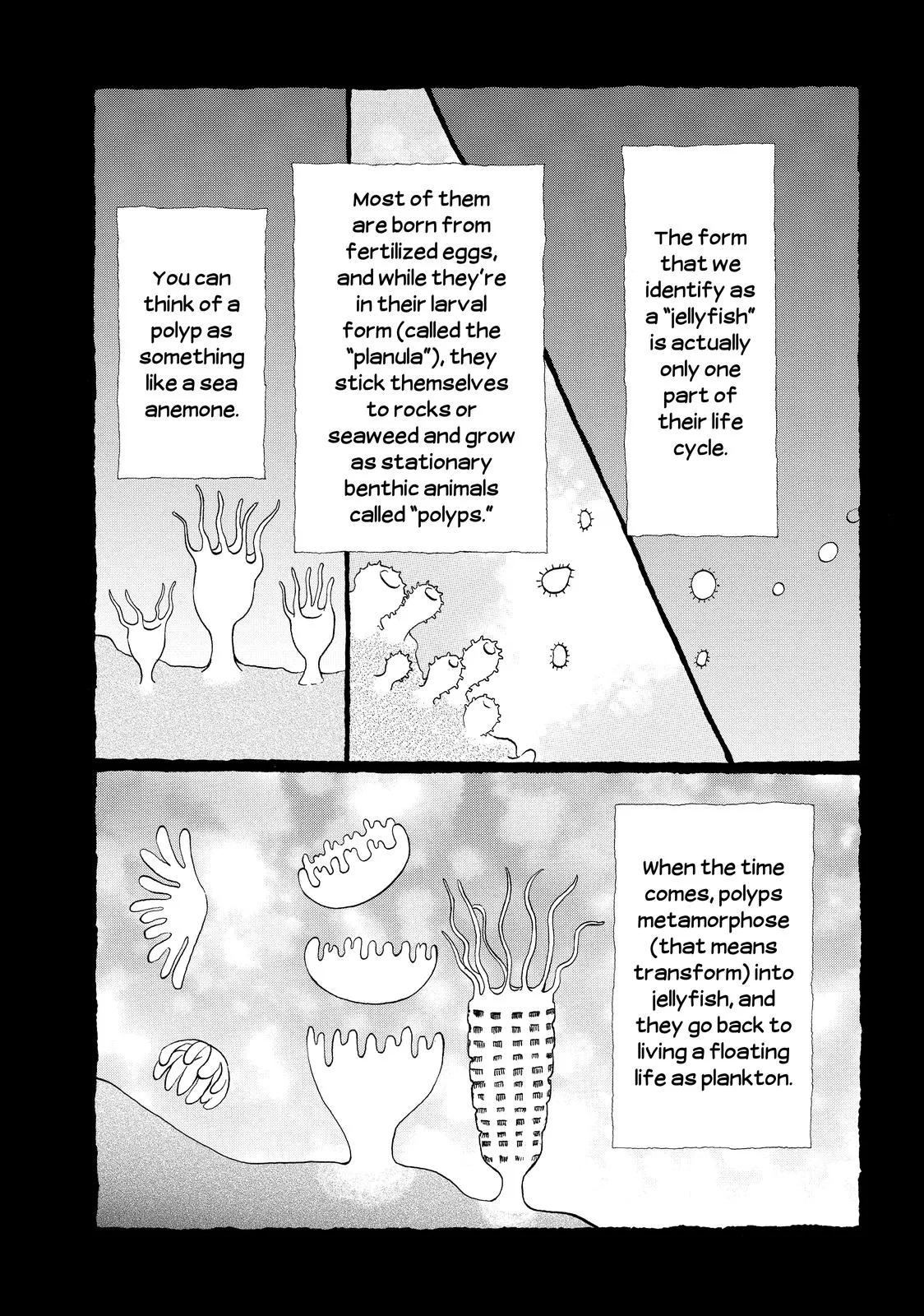 Read Princess Jellyfish (en) Manga Online