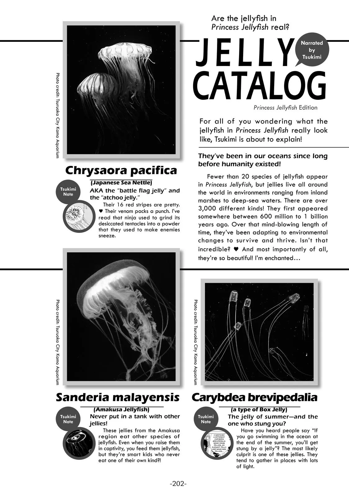 Read Princess Jellyfish (en) Manga Online
