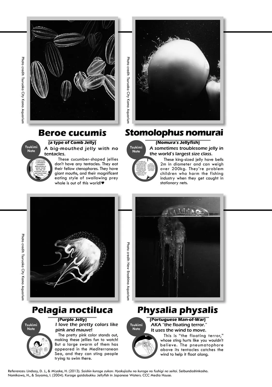 Read Princess Jellyfish (en) Manga Online