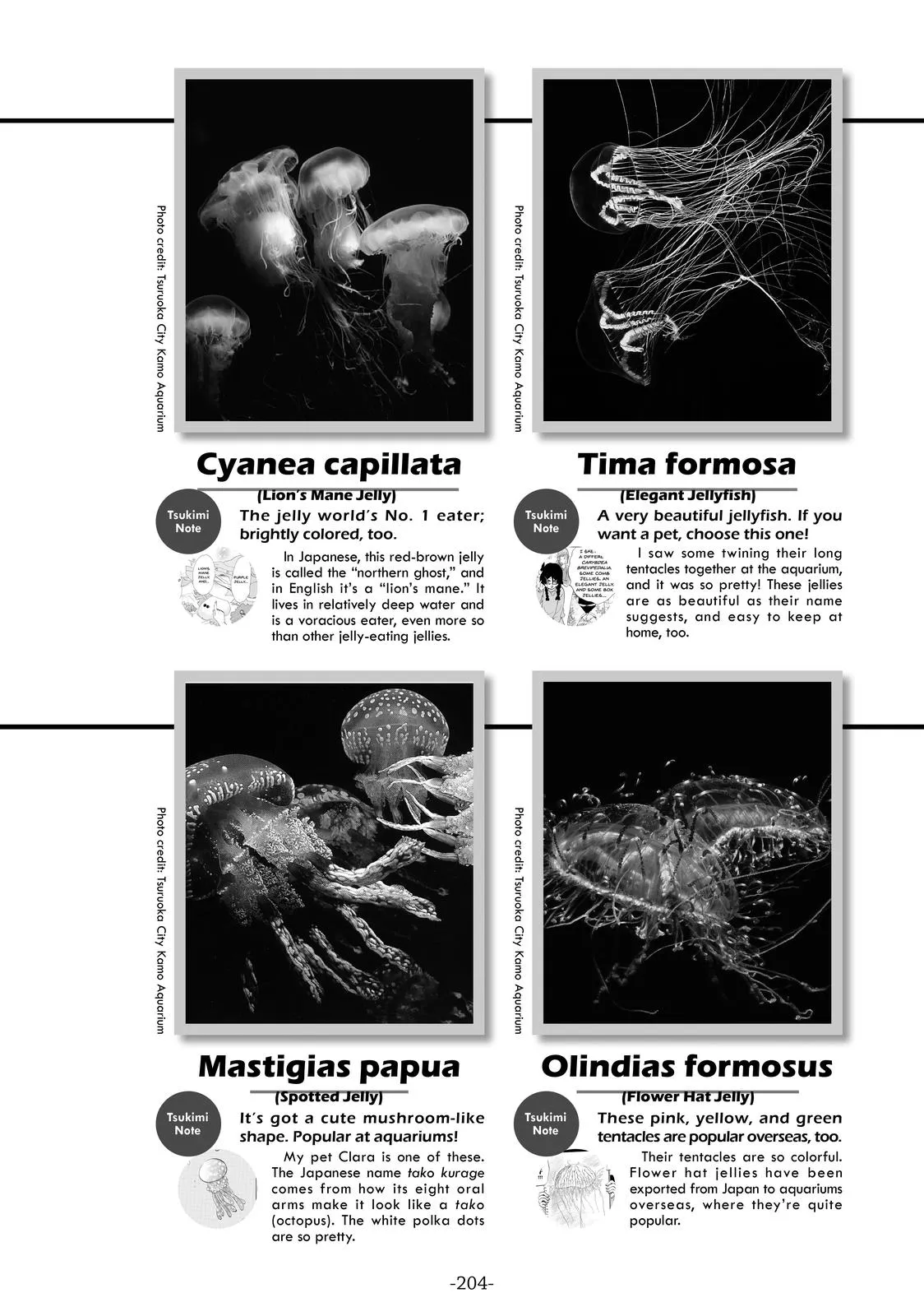 Read Princess Jellyfish (en) Manga Online