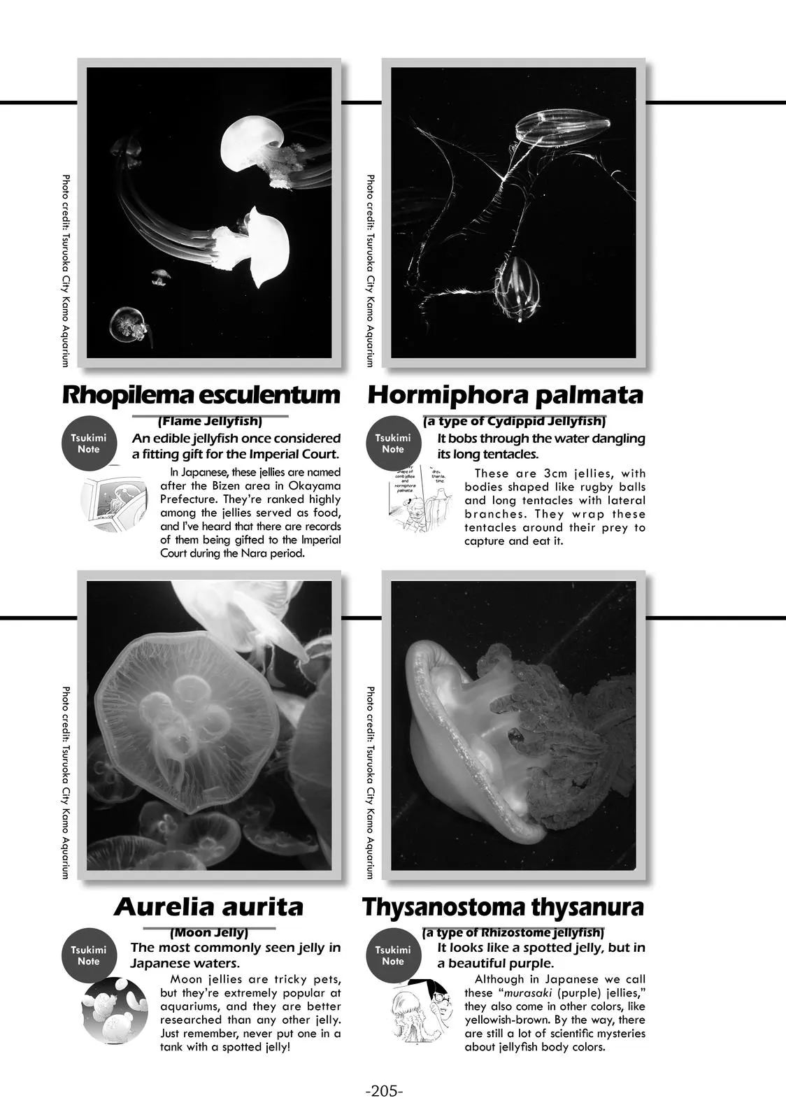 Read Princess Jellyfish (en) Manga Online
