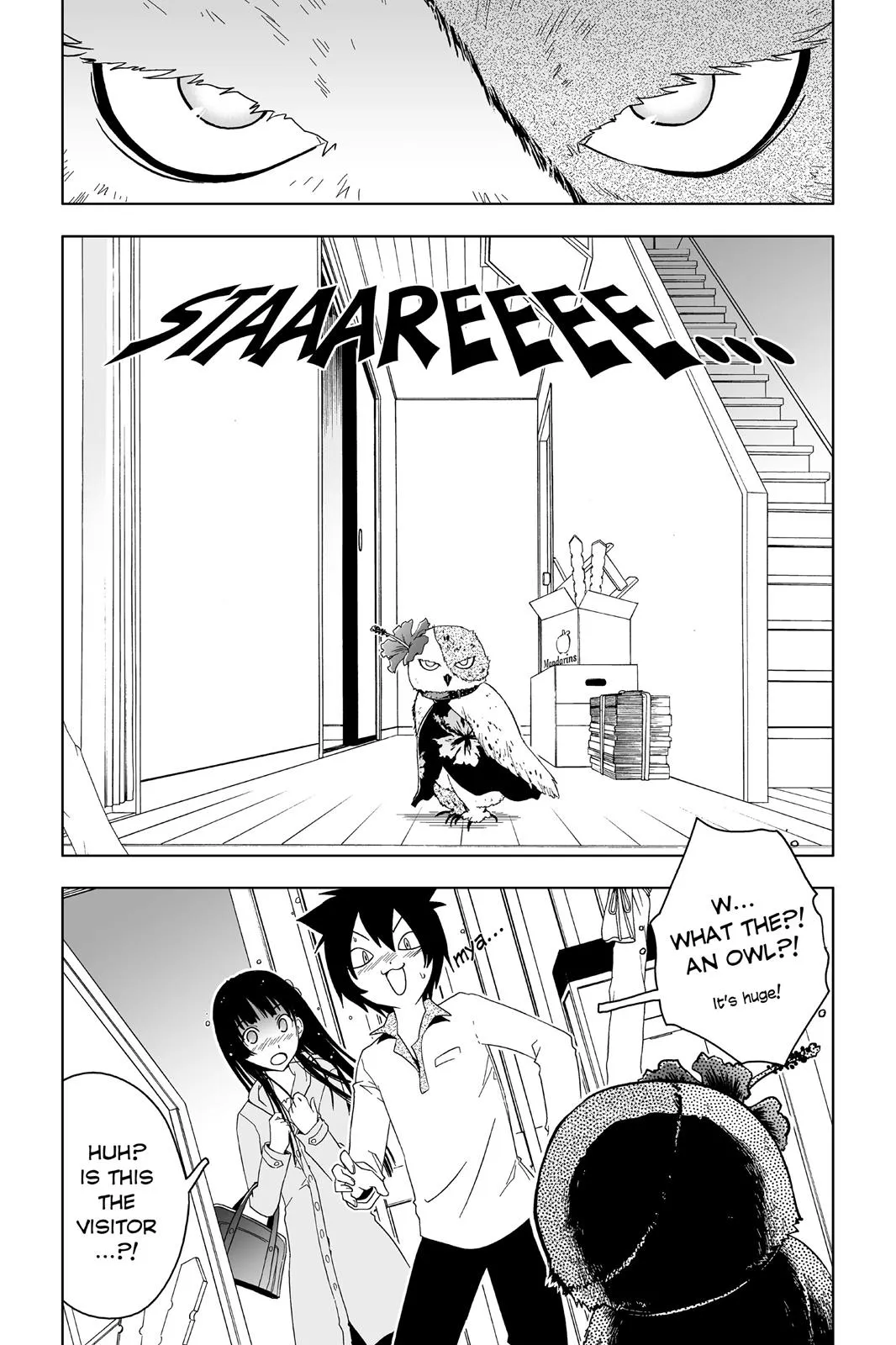 Read Sankarea (en) Manga Online