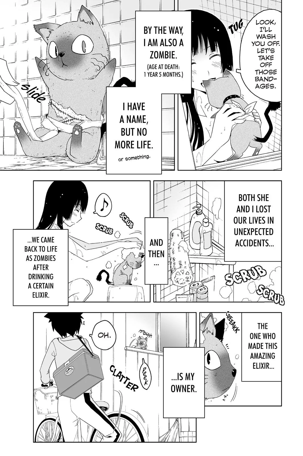 Read Sankarea (en) Manga Online