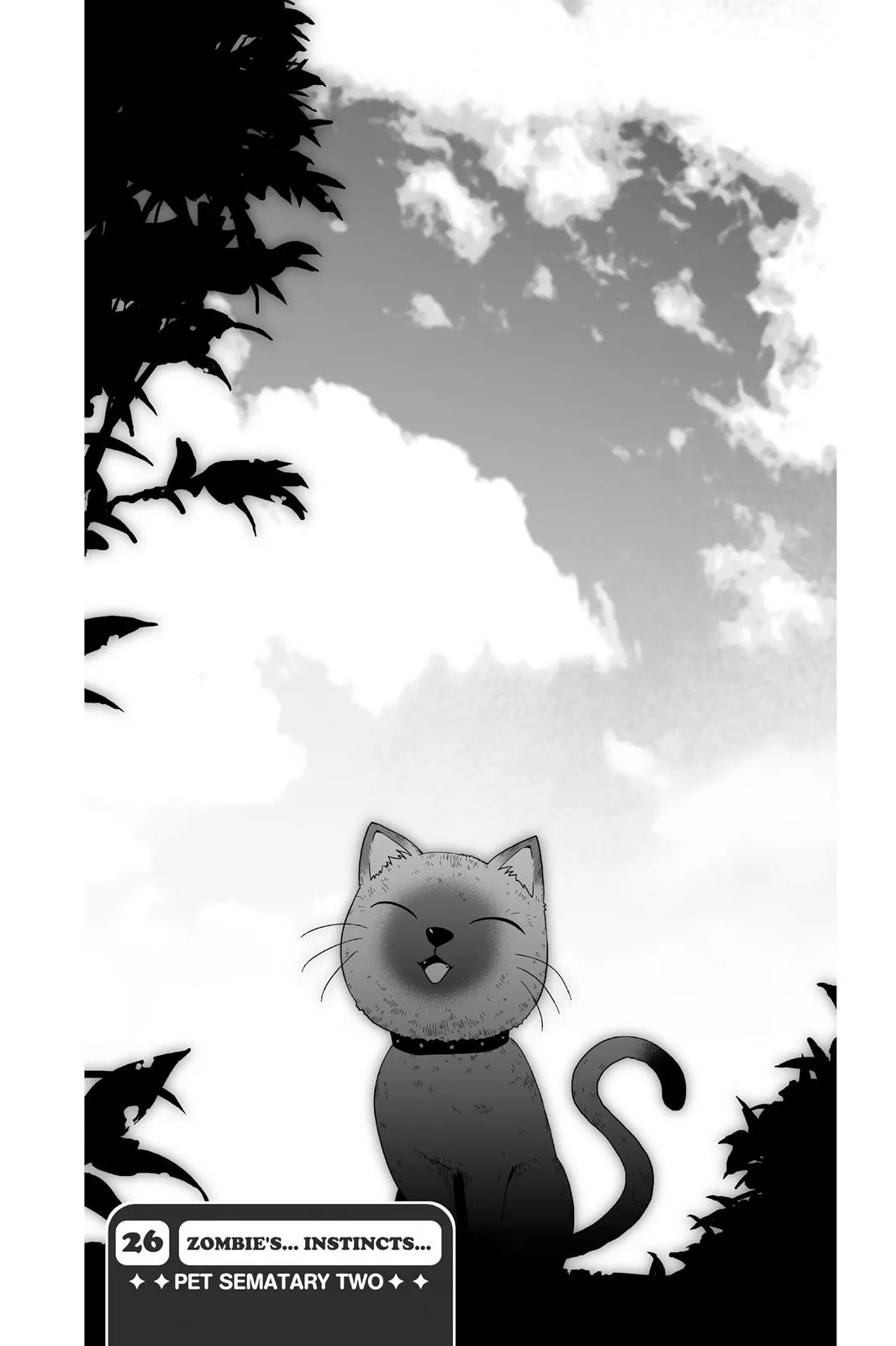 Read Sankarea (en) Manga Online