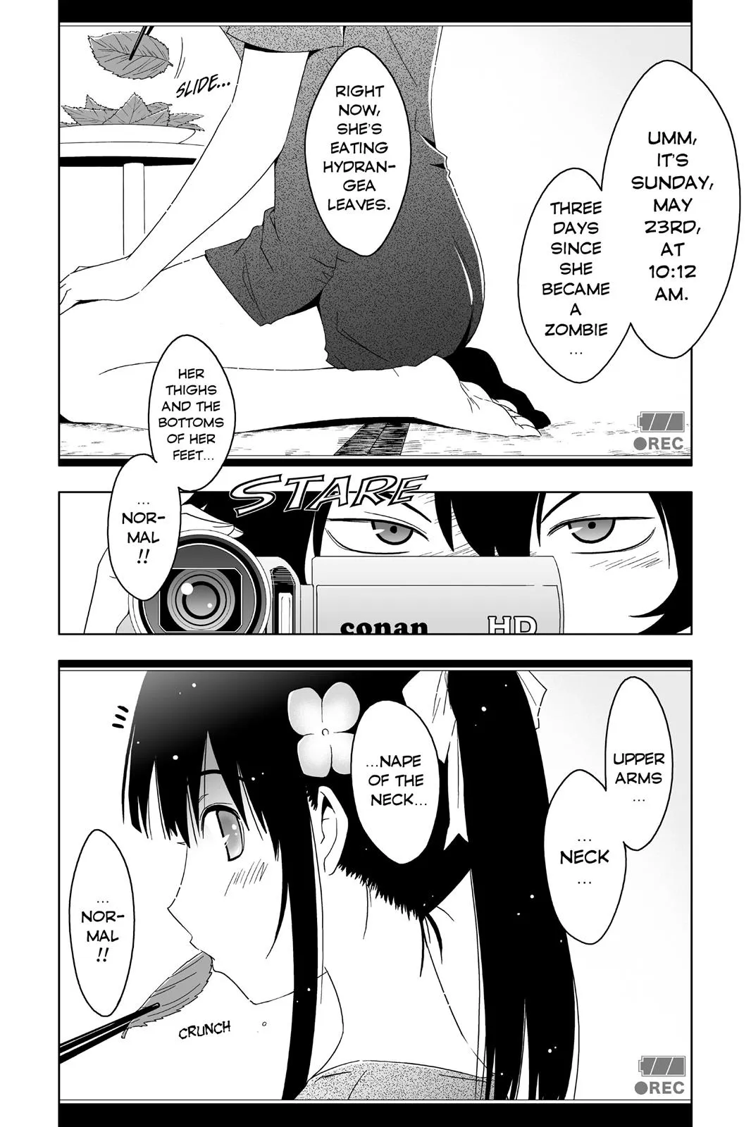 Read Sankarea (en) Manga Online