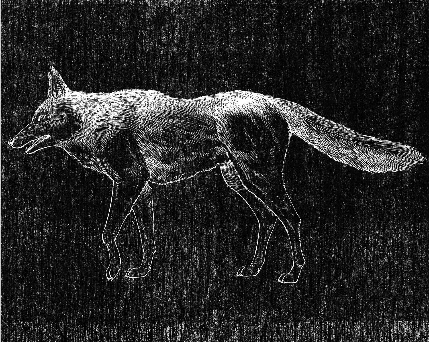 Read Shaman King (en) Manga Online