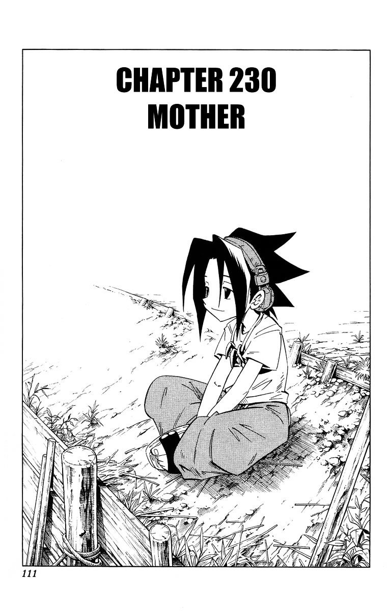 Read Shaman King (en) Manga Online