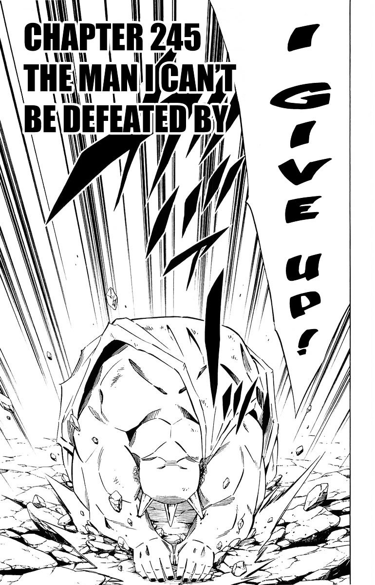 Read Shaman King (en) Manga Online