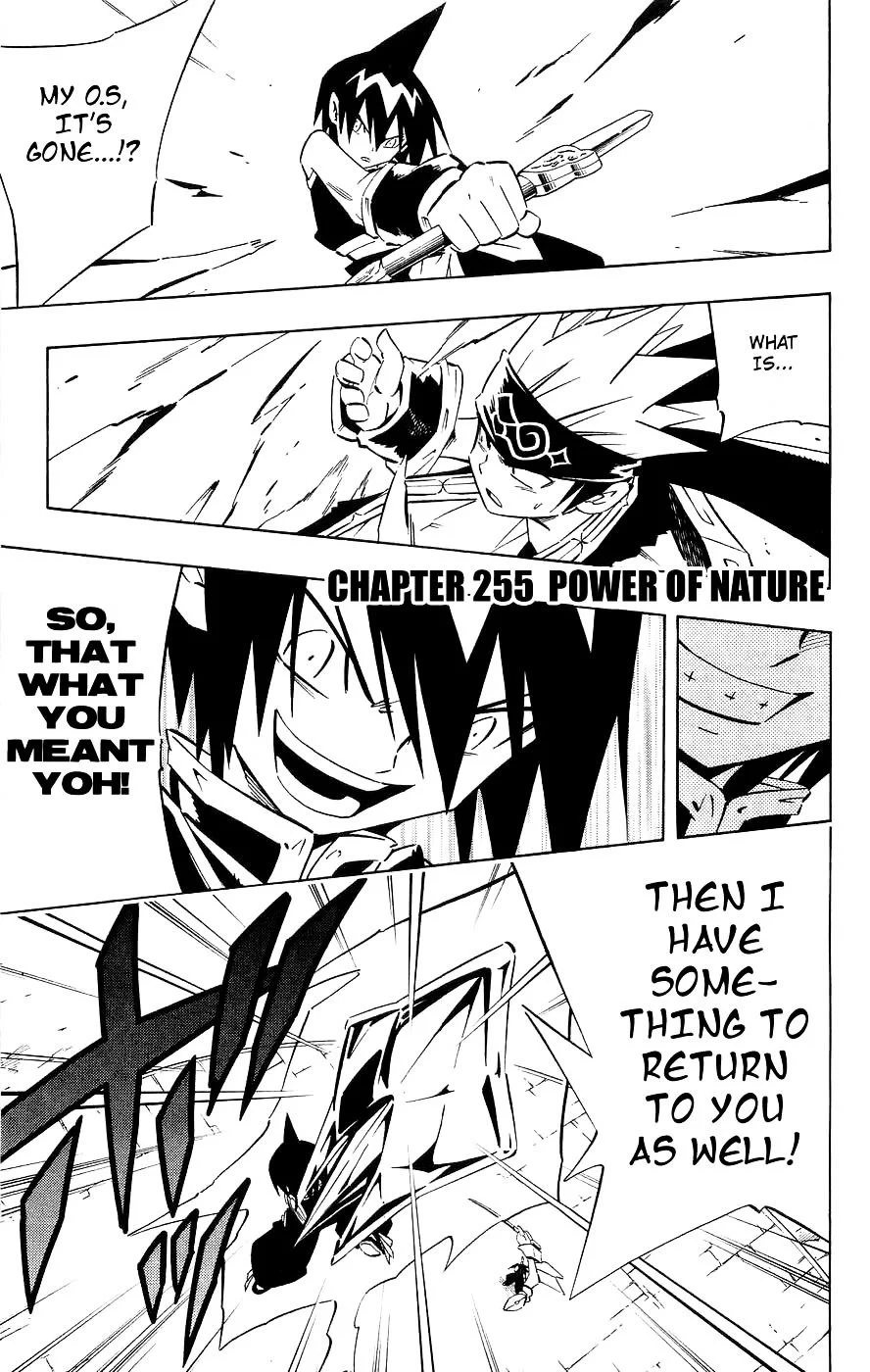 Read Shaman King (en) Manga Online