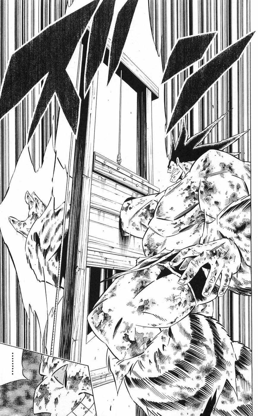 Read Shaman King (en) Manga Online