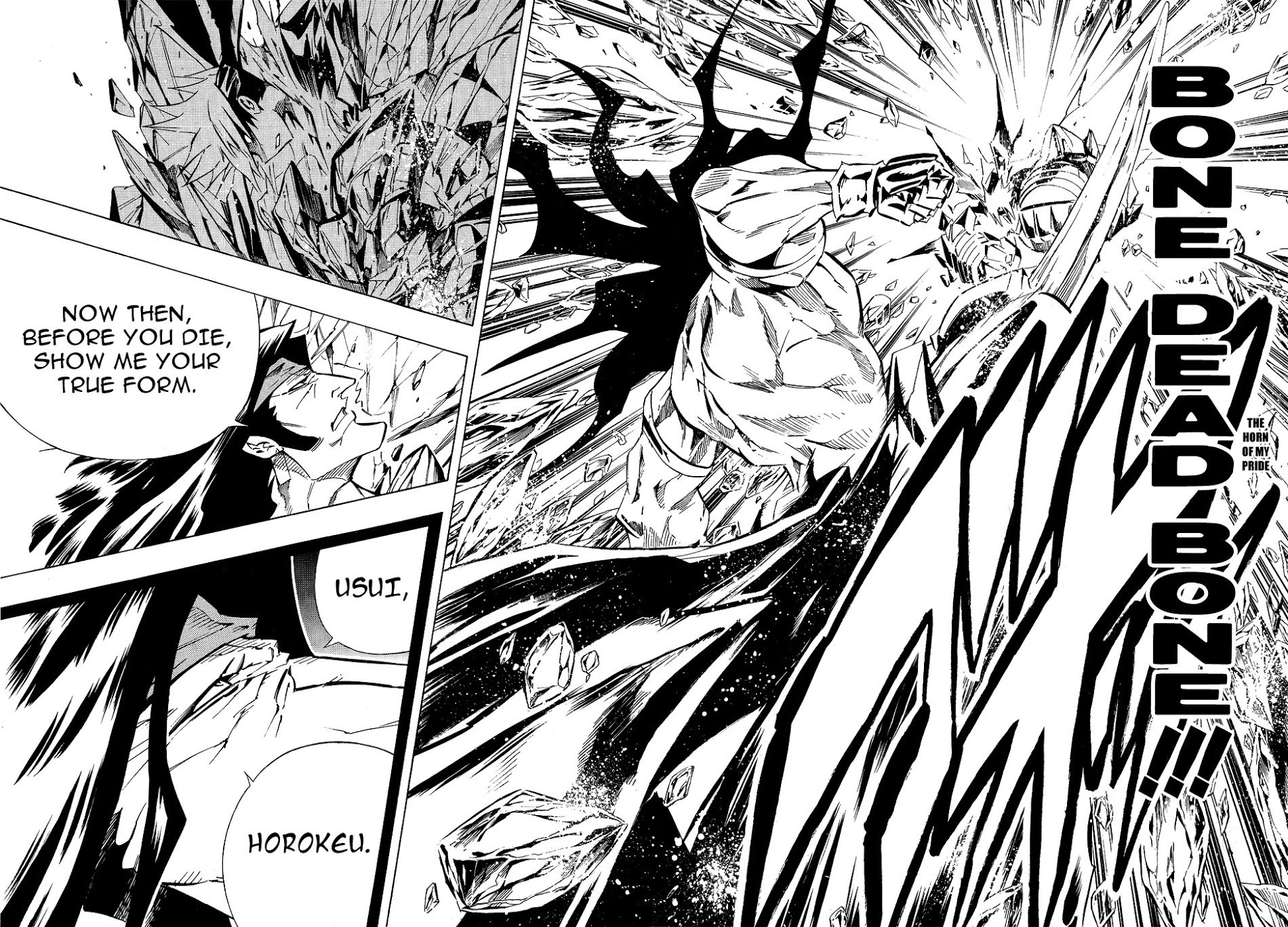 Read Shaman King (en) Manga Online