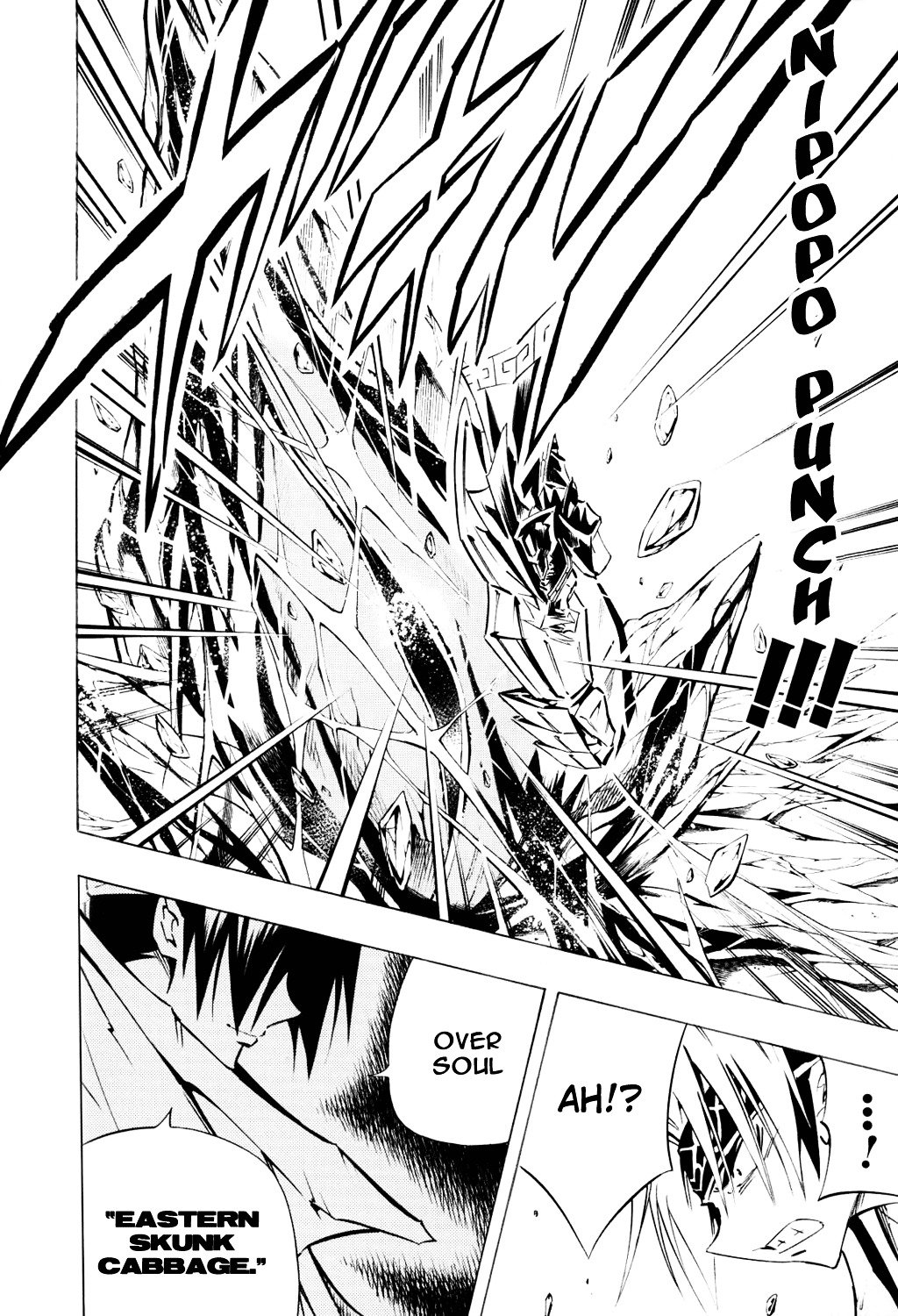 Read Shaman King (en) Manga Online