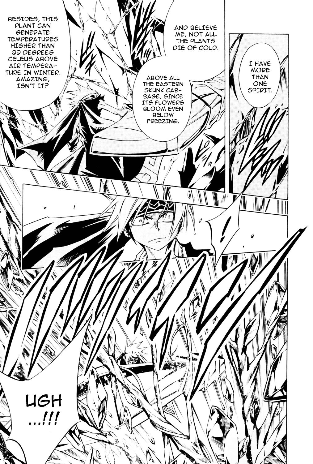 Read Shaman King (en) Manga Online