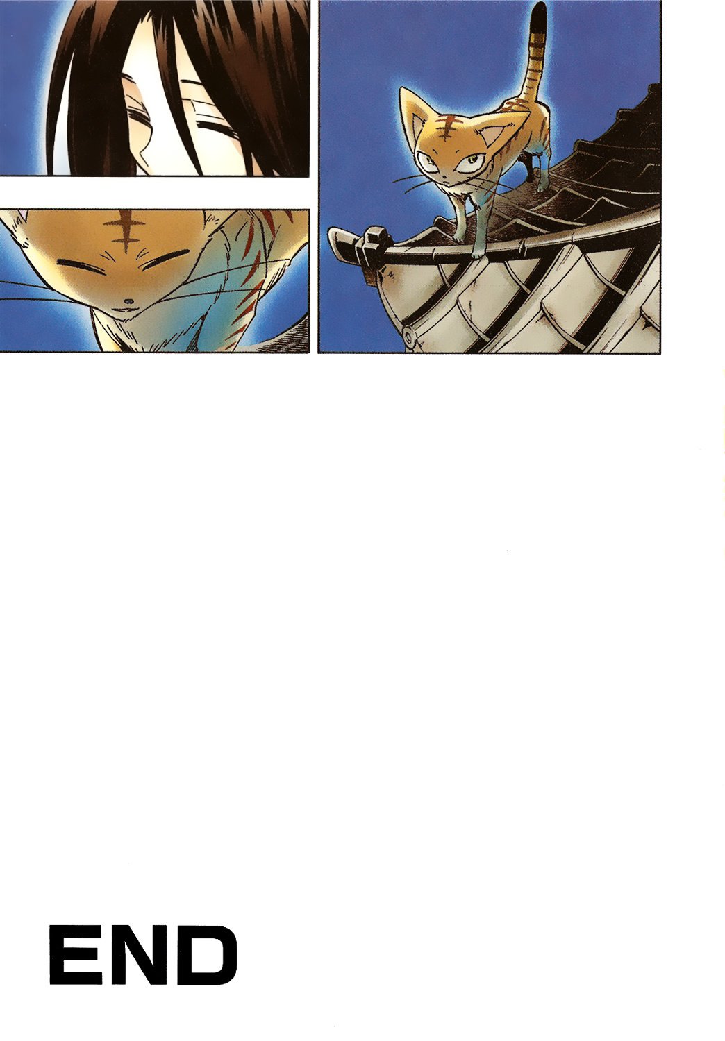 Read Shaman King (en) Manga Online