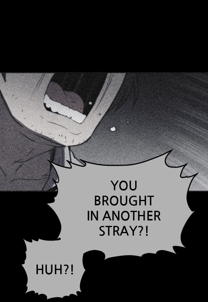 Read Shotgun Boy (en) Manga Online