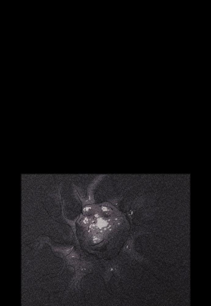 Read Shotgun Boy (en) Manga Online