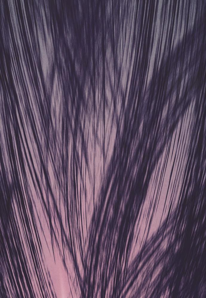 Read Shotgun Boy (en) Manga Online