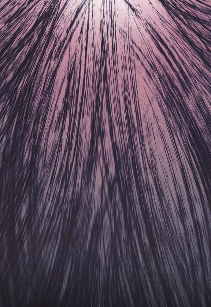 Read Shotgun Boy (en) Manga Online