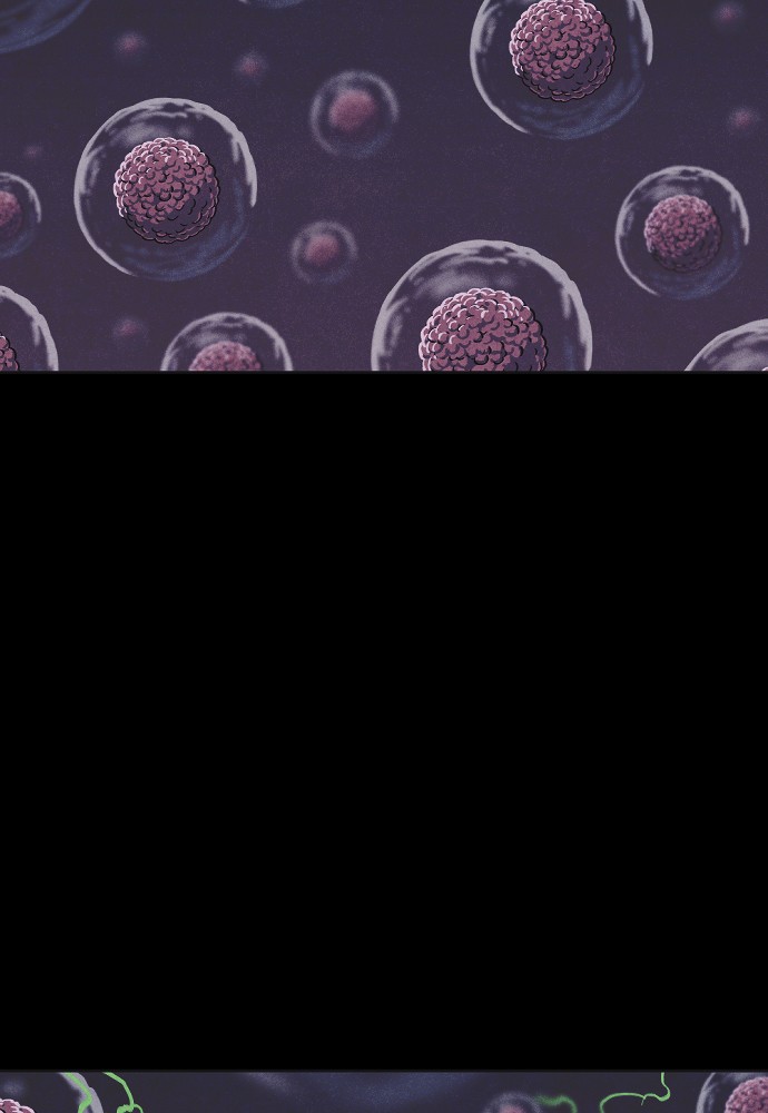 Read Shotgun Boy (en) Manga Online