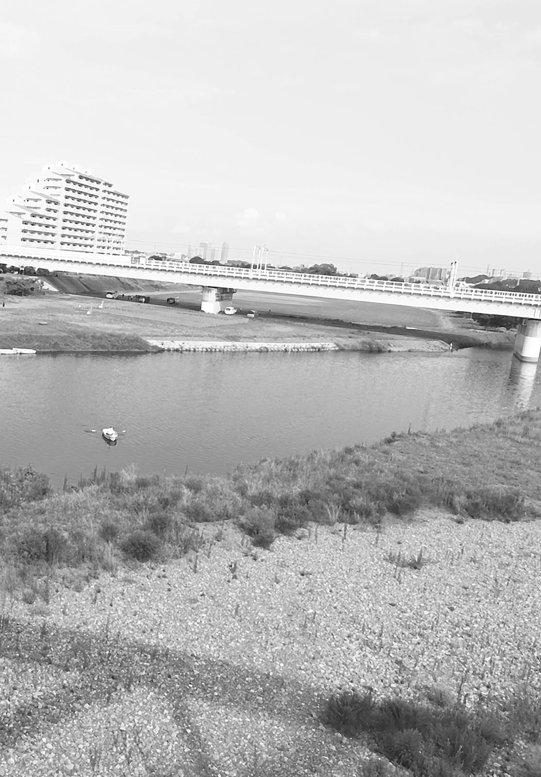 Read Solanin (en) Manga Online