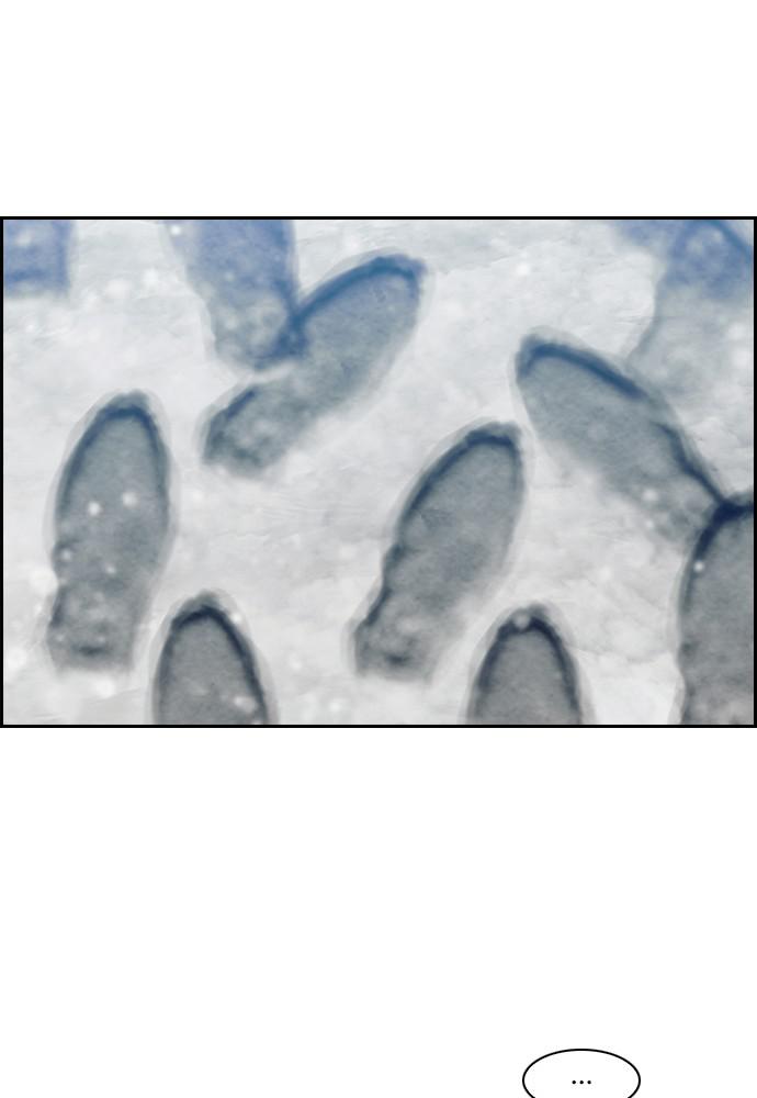 Read Tacit (en) Manga Online