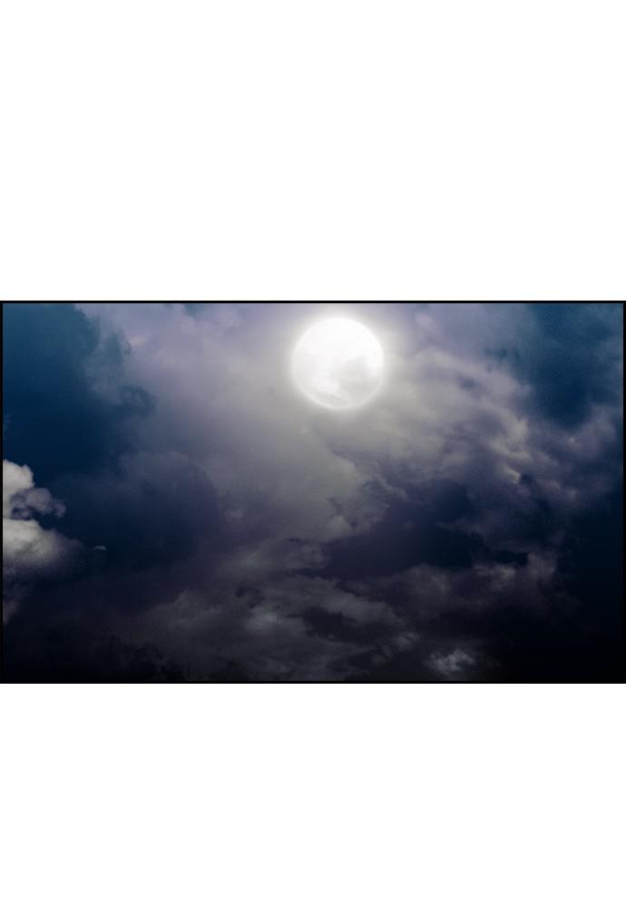 Read Tacit (en) Manga Online