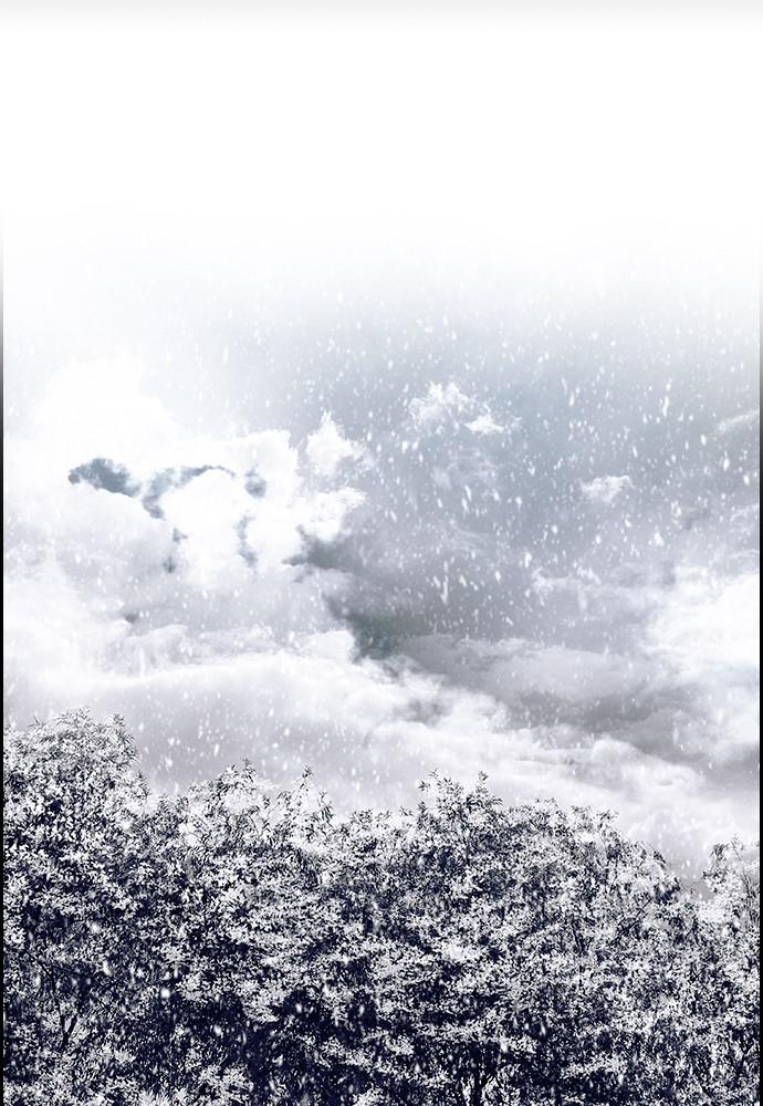 Read Tacit (en) Manga Online