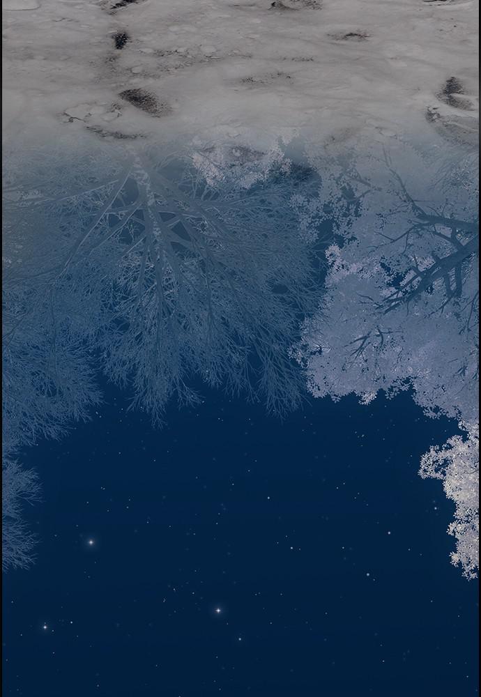 Read Tacit (en) Manga Online