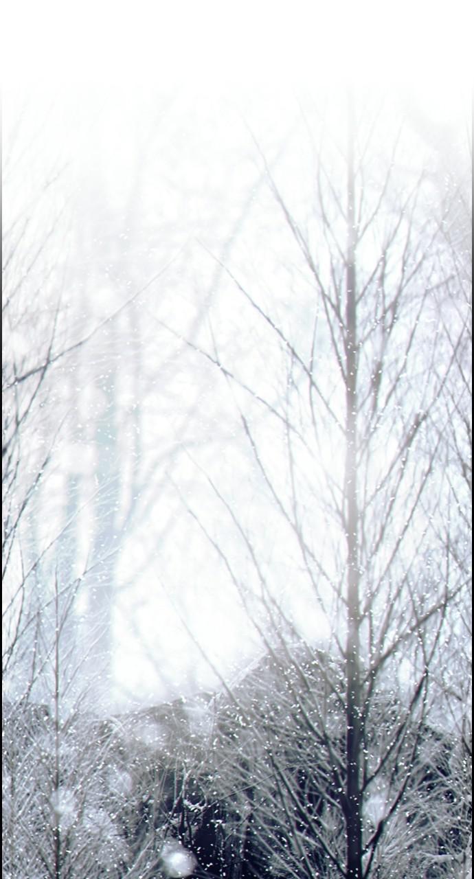 Read Tacit (en) Manga Online