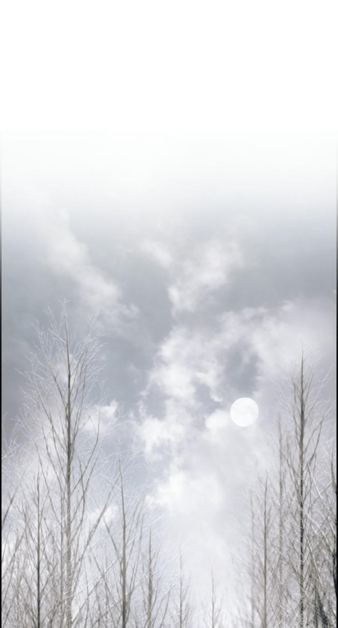 Read Tacit (en) Manga Online