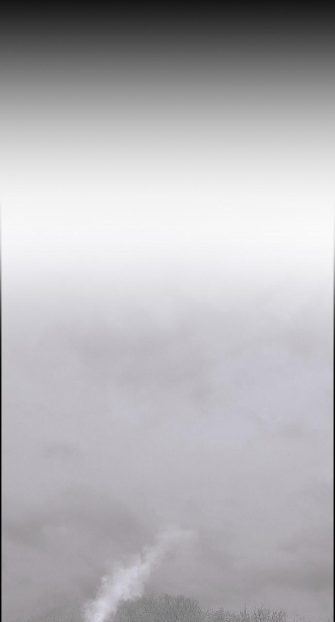 Read Tacit (en) Manga Online