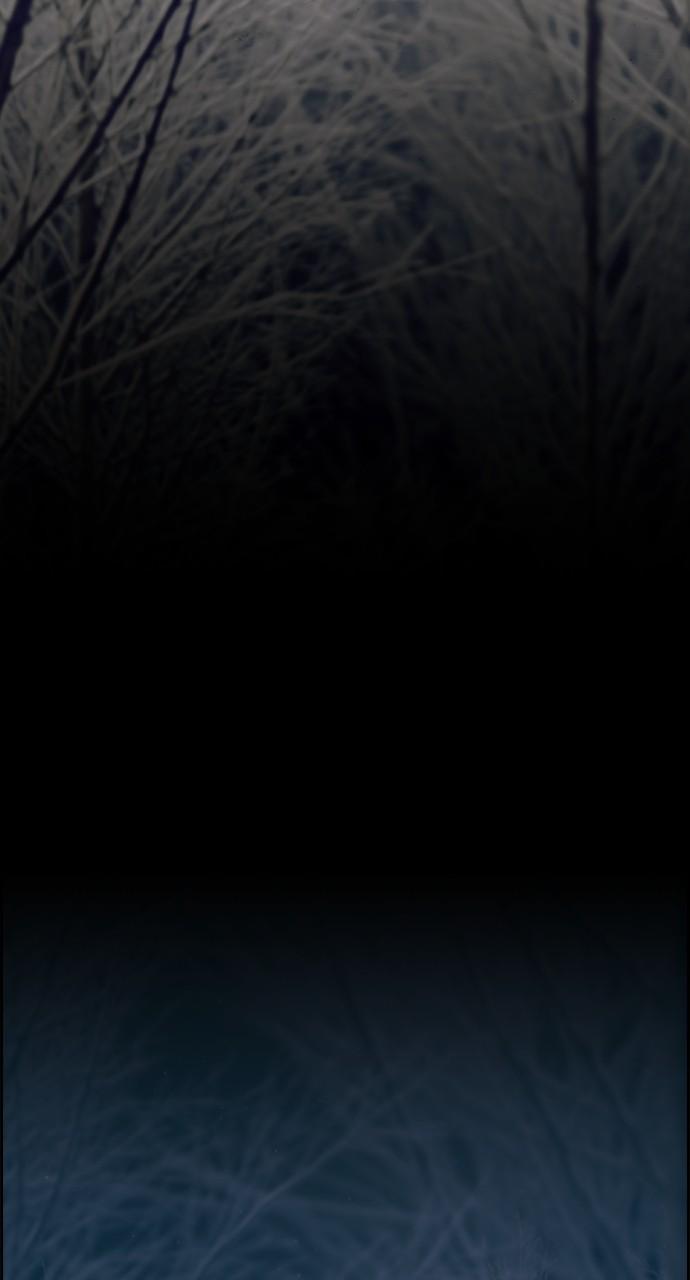 Read Tacit (en) Manga Online