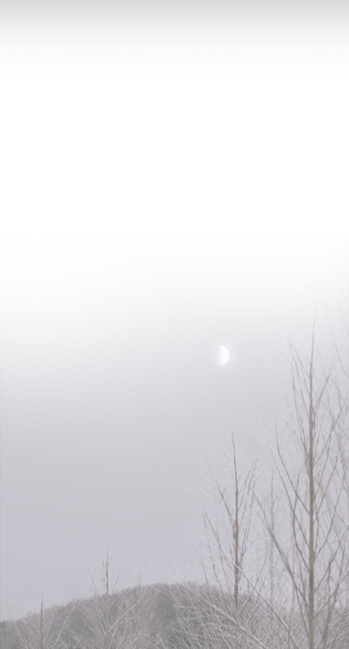 Read Tacit (en) Manga Online