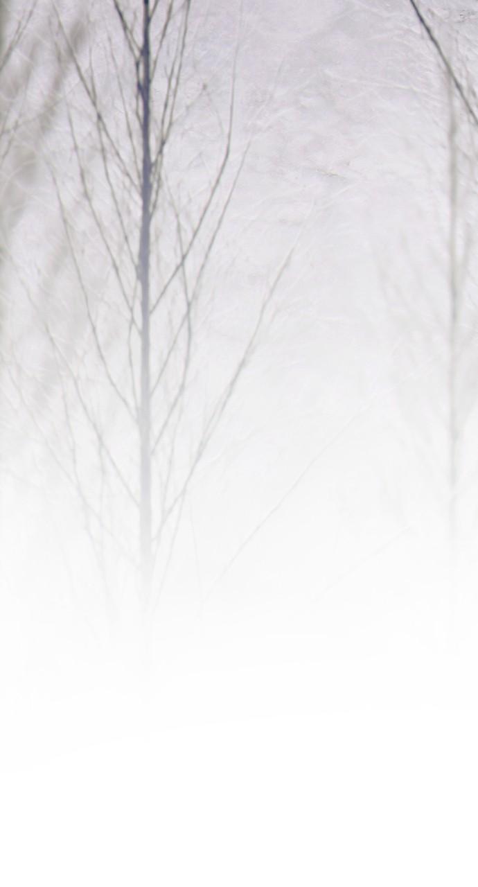 Read Tacit (en) Manga Online