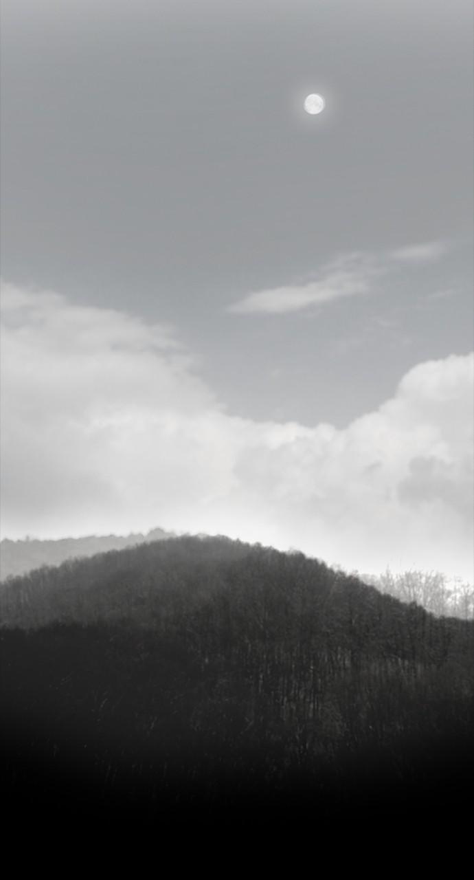 Read Tacit (en) Manga Online