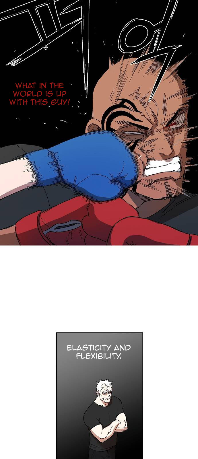 Read The Boxer (en) Manga Online