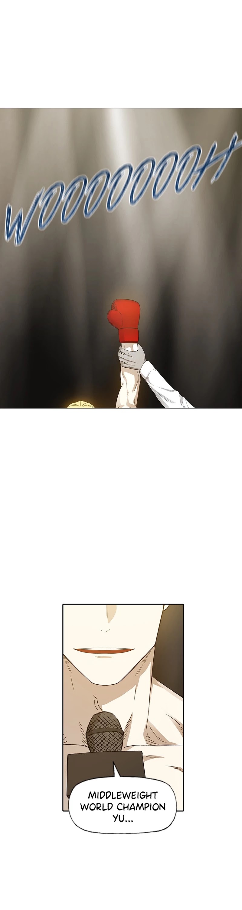 Read The Boxer (en) Manga Online