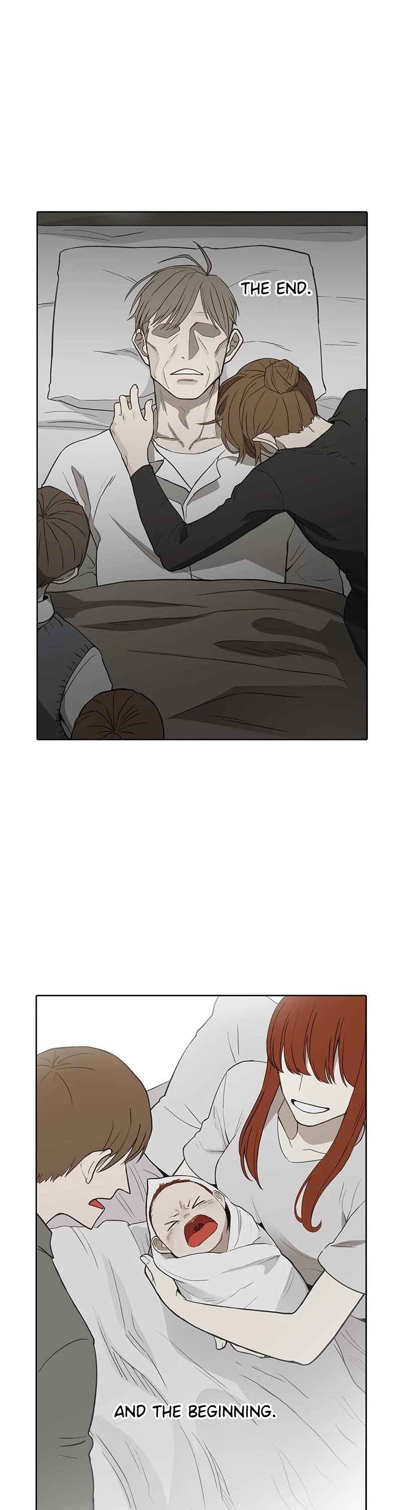 Read The Boxer (en) Manga Online