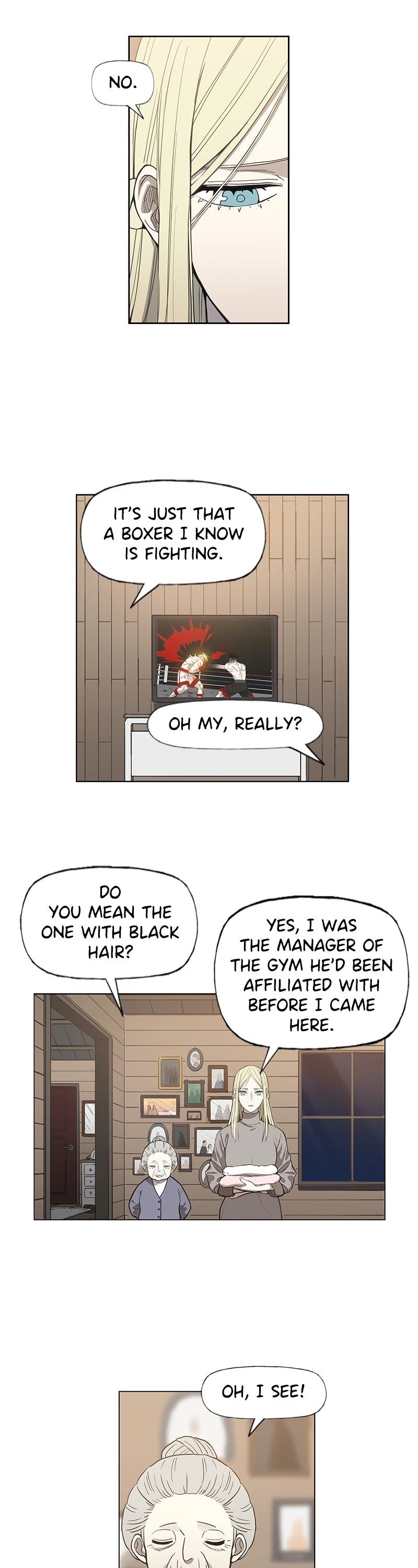 Read The Boxer (en) Manga Online