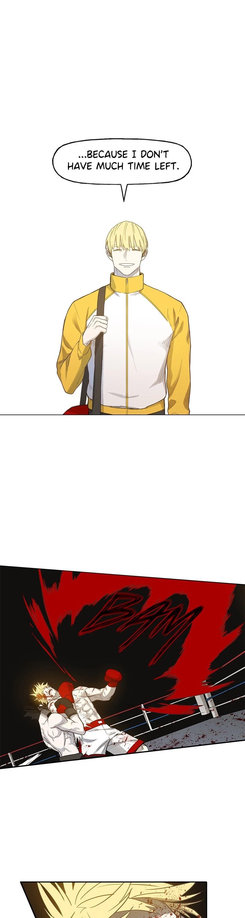 Read The Boxer (en) Manga Online