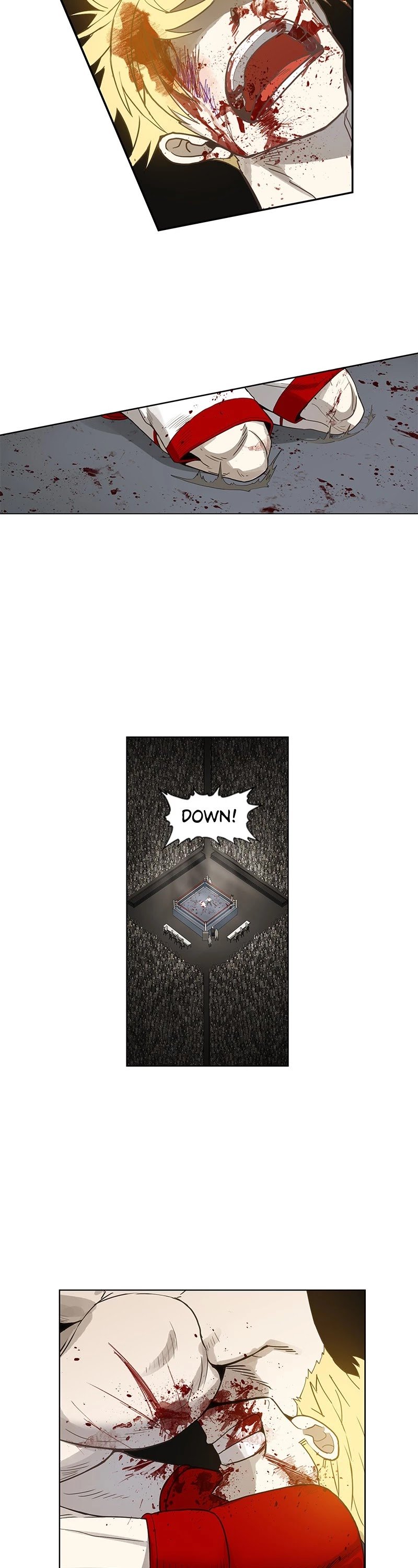 Read The Boxer (en) Manga Online