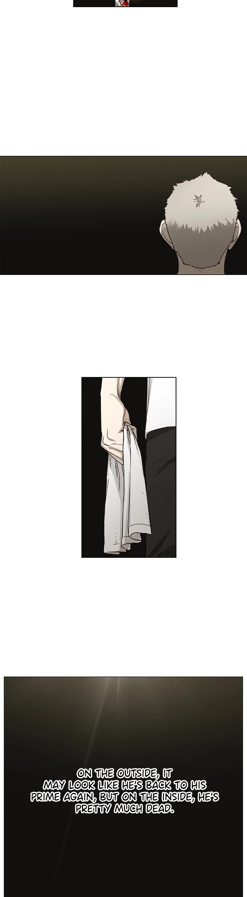 Read The Boxer (en) Manga Online