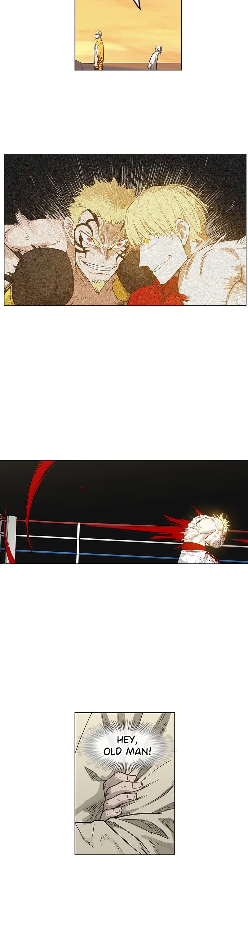 Read The Boxer (en) Manga Online