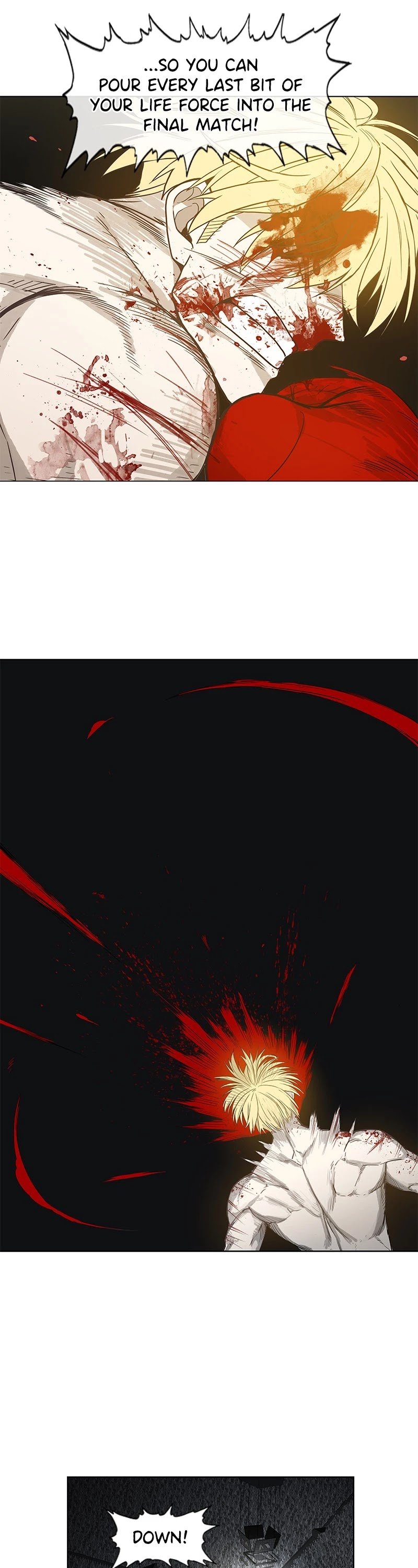 Read The Boxer (en) Manga Online