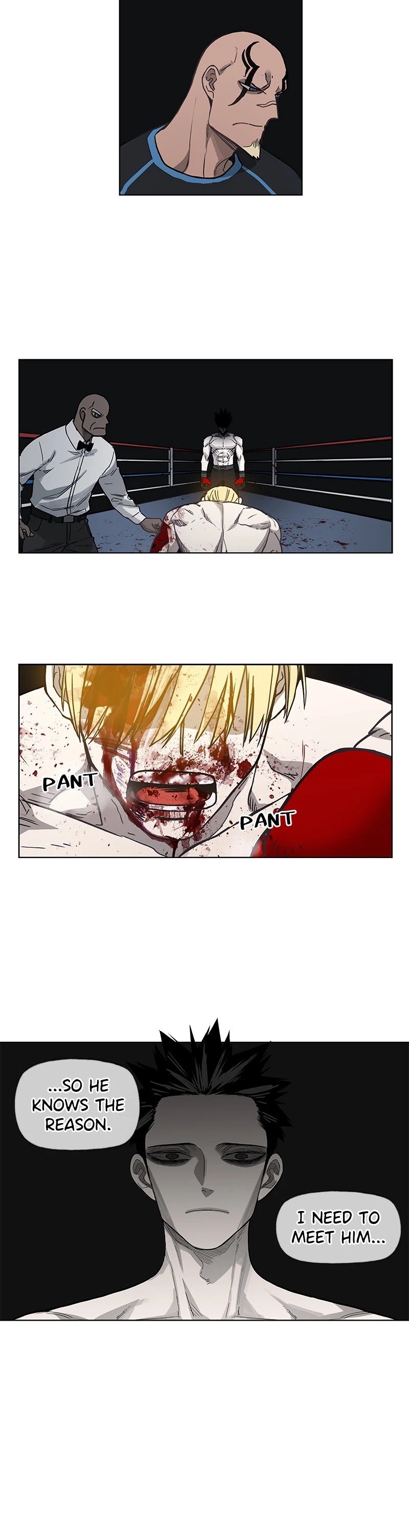 Read The Boxer (en) Manga Online