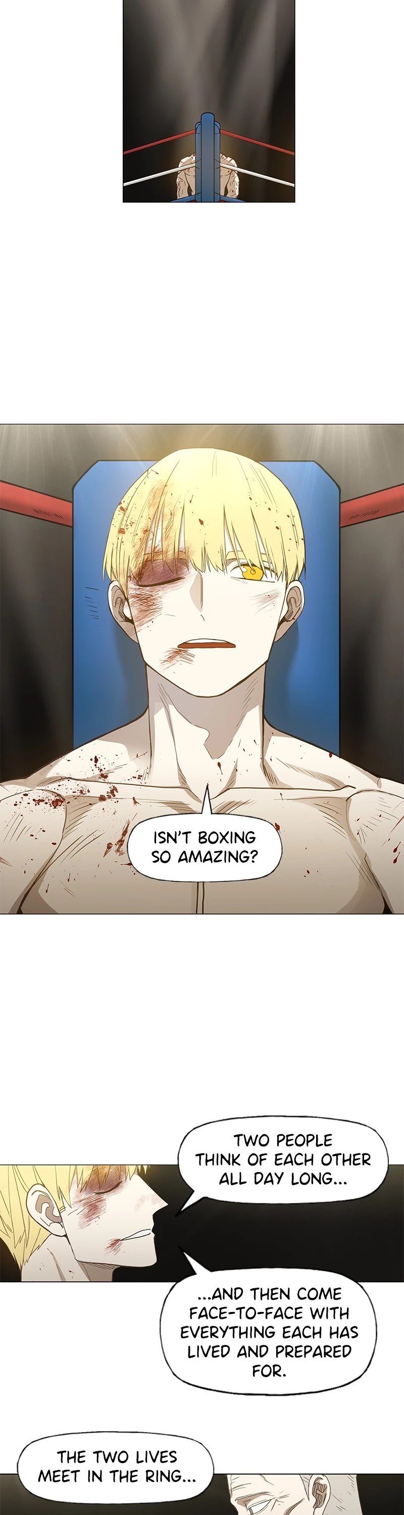 Read The Boxer (en) Manga Online