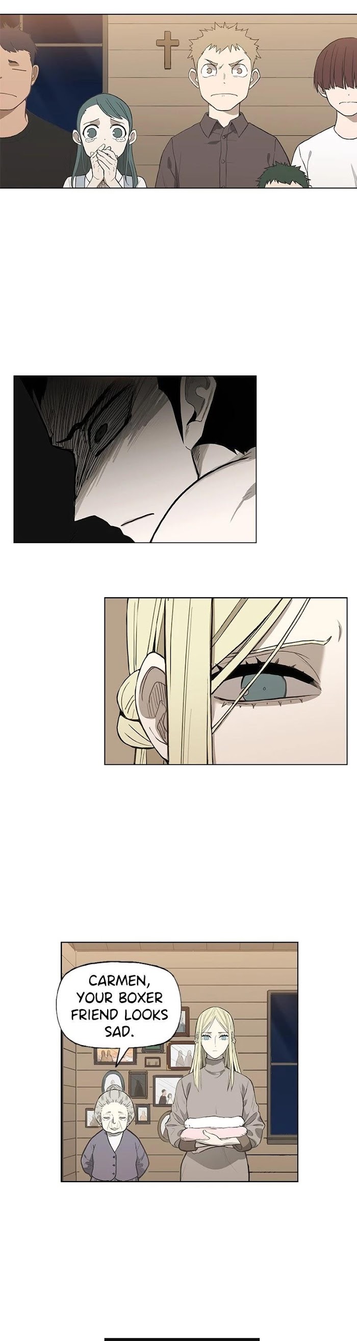 Read The Boxer (en) Manga Online